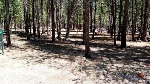 14856 Curlleaf, La Pine, OR, 97739-9437 | Card Image