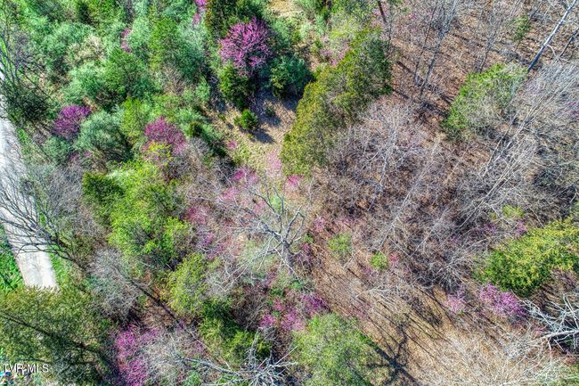 000 Sensabaugh Hollow Rd, Home with 0 bedrooms, 0 bathrooms and null parking in Church Hill TN | Image 12