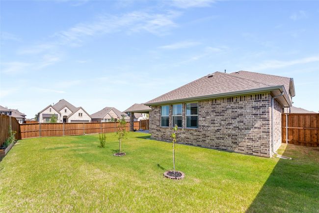 View of fenced backyard | Image 38