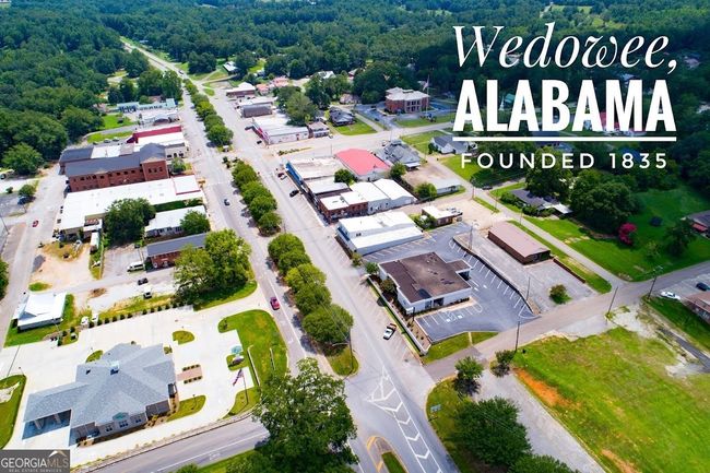 0 County Road 269, Home with 0 bedrooms, 0 bathrooms and null parking in Wedowee AL | Image 34