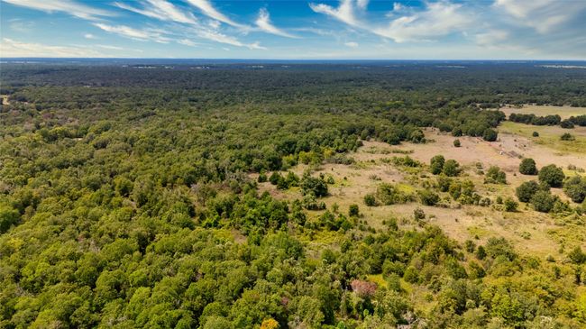 Drone / aerial view | Image 10