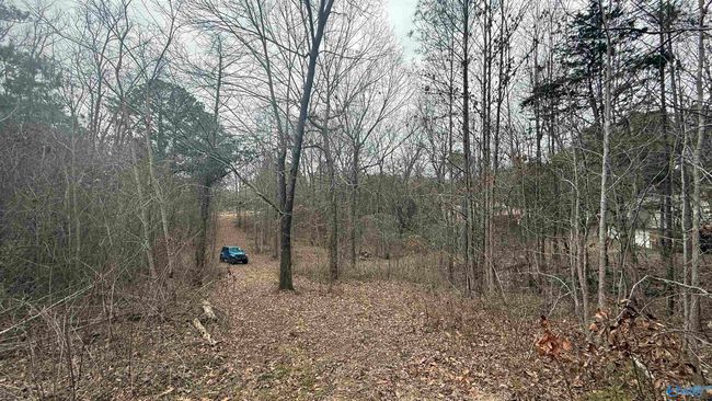 3.6 Acres Hough Rd, Home with 0 bedrooms, 0 bathrooms and null parking in Laceys Spring AL | Image 7