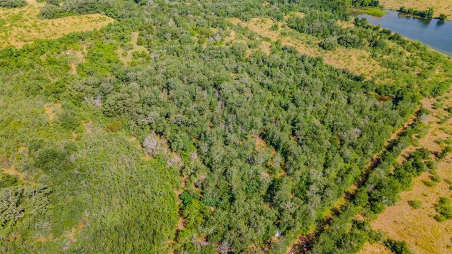 Aerial view of property's location featuring a large body of water and a heavily wooded area | Image 11