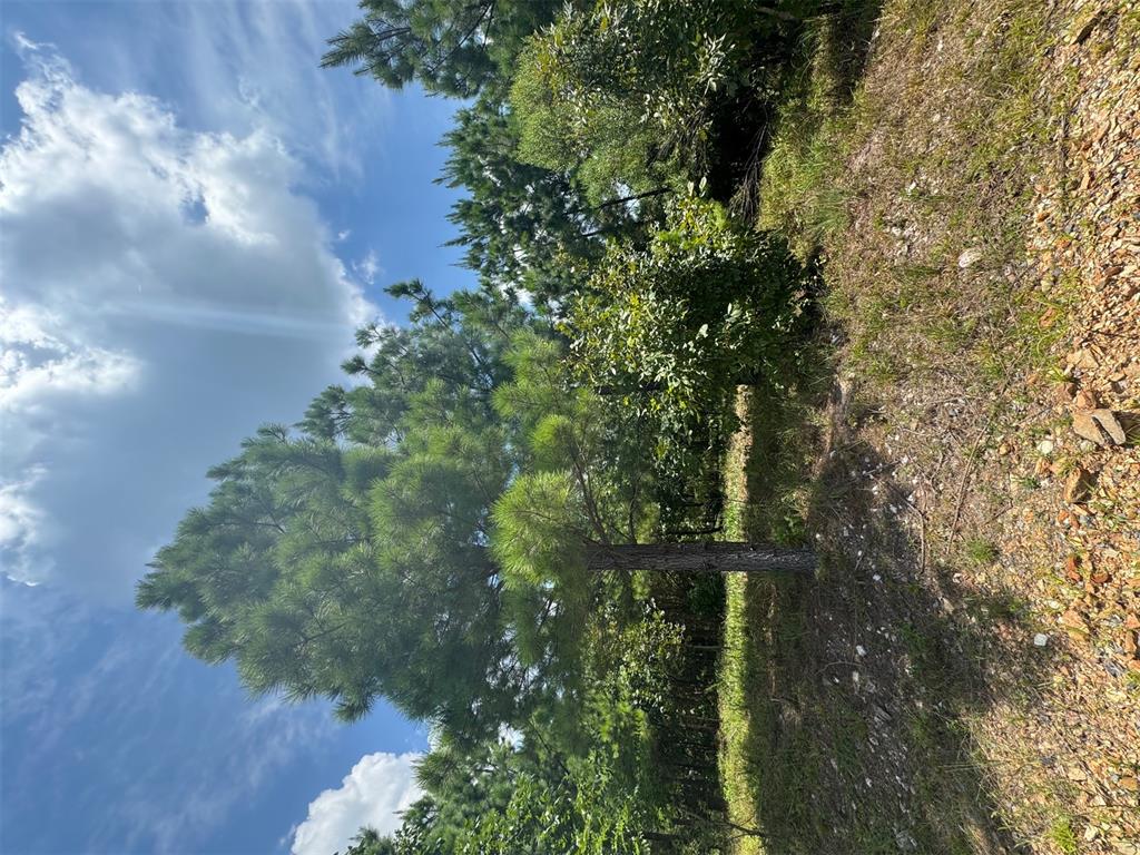 Land in Broken Bow 2