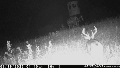 TBD 370th Ave, Cyrus, MN, 56323 | Card Image