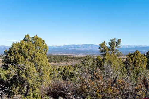 61 Summer View Lane, Ignacio, CO, 81137 | Card Image