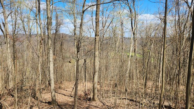 TRACT-2-PIKE-LAKE-GETAWA - 0 Pike Lake Rd, Home with 0 bedrooms, 0 bathrooms and null parking in Bainbridge OH | Image 26