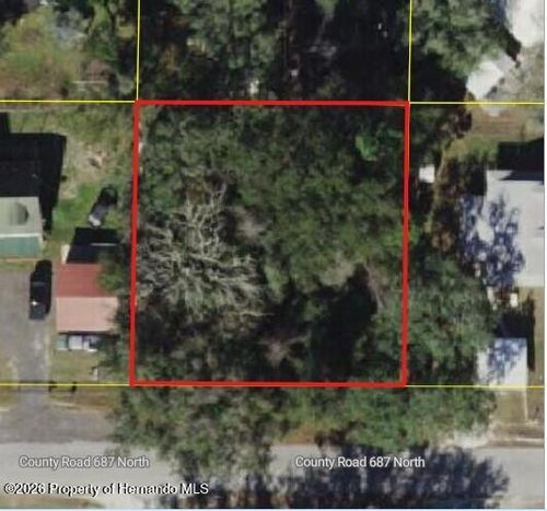 0 County Road 687, Webster, FL, 33597 | Card Image