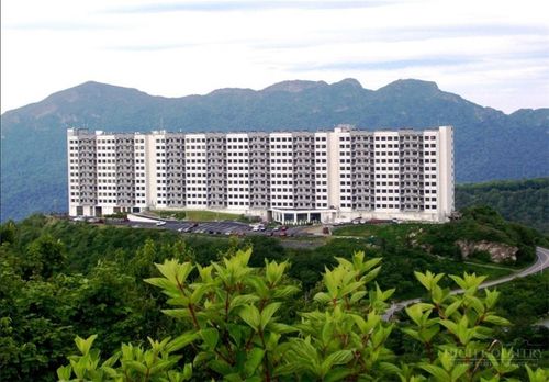 2010-303 Sugar Top Dr, Sugar Mountain, NC, 28604-5825 | Card Image