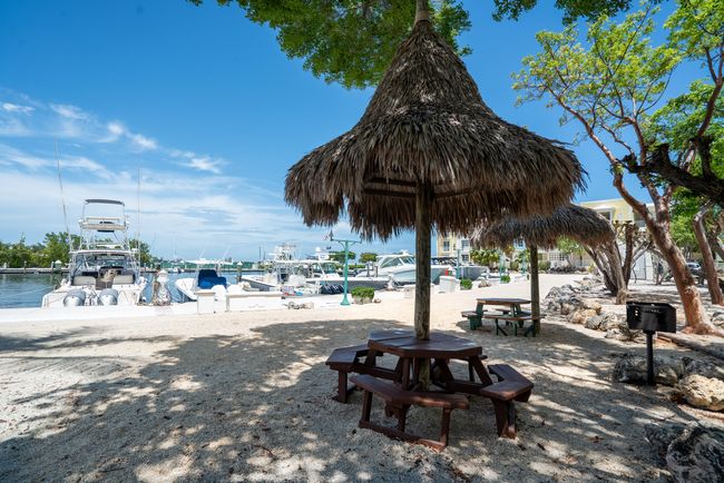 Dockside tikis | Image 52