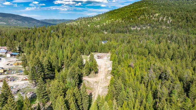 Aerial overview of property's location with a heavily wooded area and a mountain backdrop | Image 92