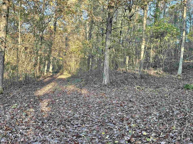 8997 Highway 9, House other with 2 bedrooms, 2 bathrooms and null parking in Mountain View AR | Image 43