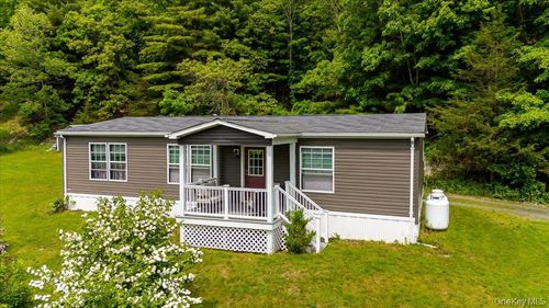559 Lake Rd, Pine Plains, NY, 12567-5541 | Card Image