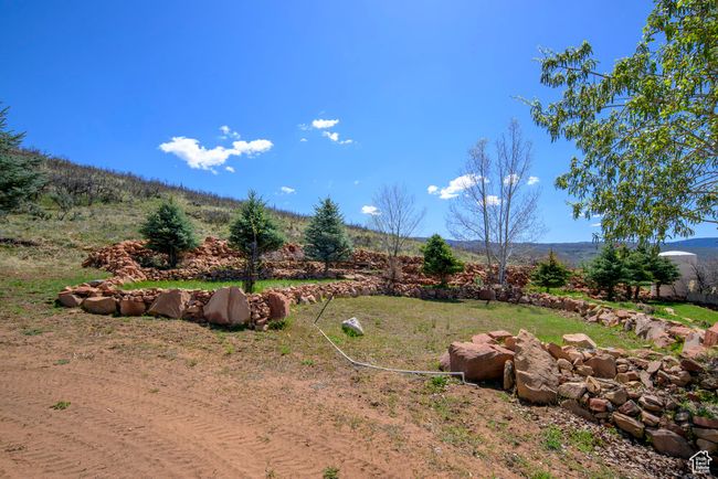View of yard | Image 65