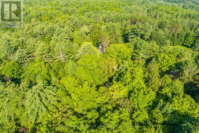 Lt 33 Benson Blvd, Home with 0 bedrooms, 0 bathrooms and null parking in Coboconk ON | Image 16
