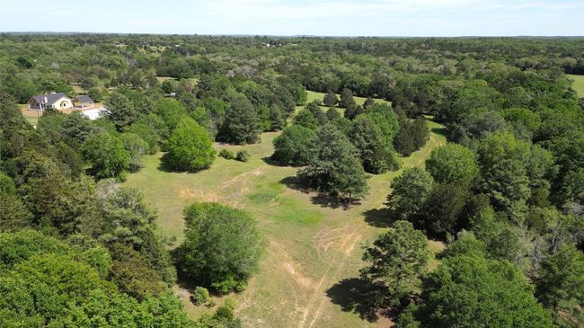 Bird's eye view with a forest view | Image 15