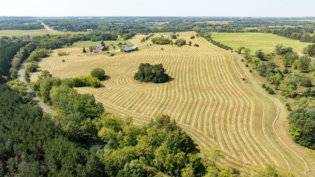 39148 County Road 10, House other with 3 bedrooms, 3 bathrooms and null parking in Albany MN | Image 5