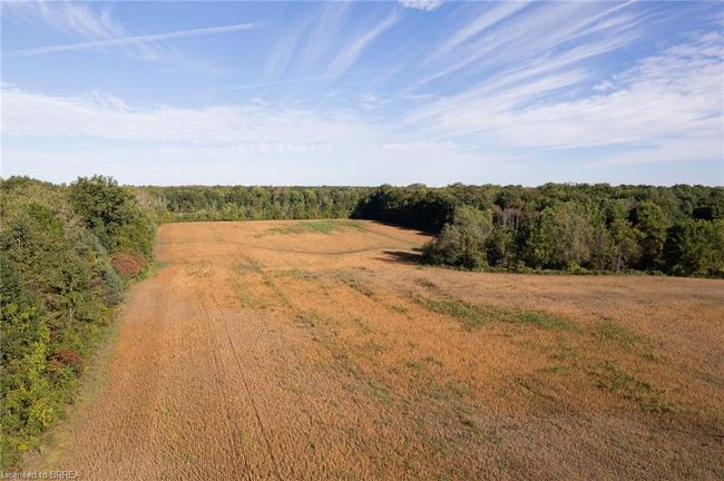 N/A 3rd Conc Road, Home with 0 bedrooms, 0 bathrooms and null parking in St. Williams ON | Image 15