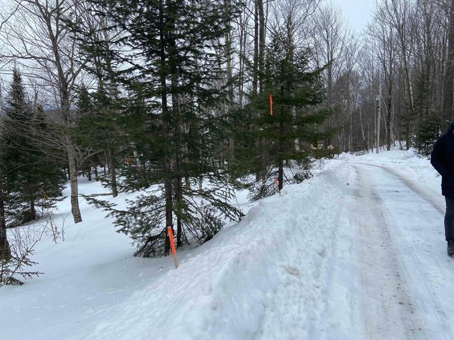 48 Alberts Ln, Home with 0 bedrooms, 0 bathrooms and null parking in Warren VT | Image 15