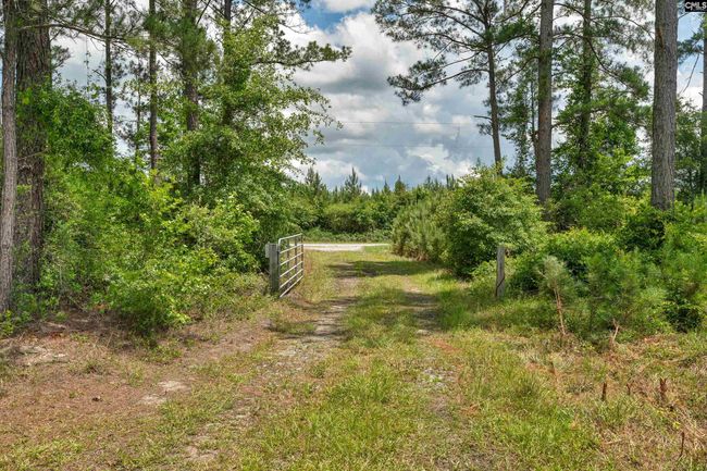 0000 N Brewington Rd, Home with 0 bedrooms, 0 bathrooms and null parking in Manning SC | Image 47