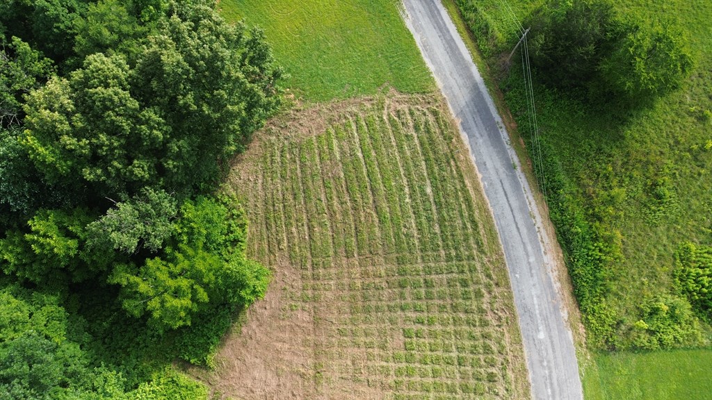 Land in Smithville 5