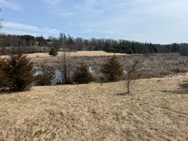 12 - 00 County Rd 13 E, Home with 0 bedrooms, 0 bathrooms and null parking in Hastings ON | Image 5