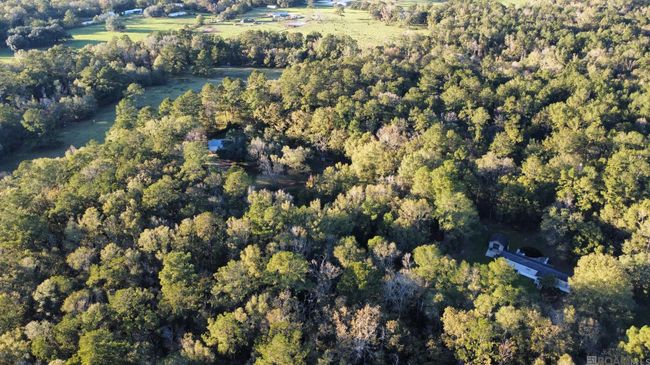 26.85 Acres Heritage Acres Ln, Home with 0 bedrooms, 0 bathrooms and null parking in Robert LA | Image 11