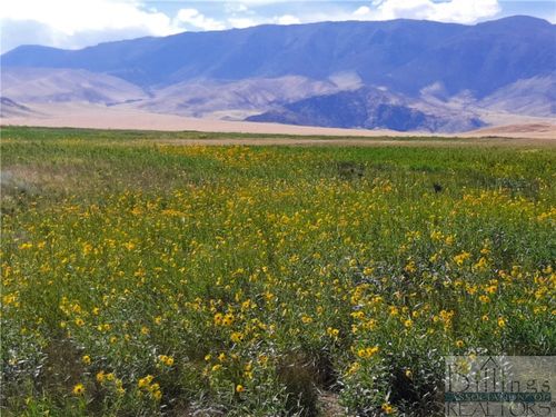 nhn Stagecoach Spur W, Belfry, MT, 59008 | Card Image