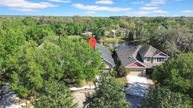 15861 Starling Water Dr, House other with 4 bedrooms, 3 bathrooms and null parking in LITHIA FL | Image 44