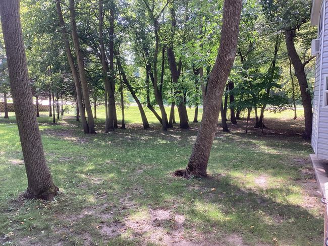 Large double lot for future home | Image 7