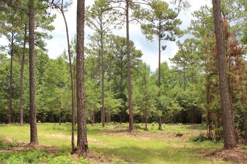 0 Hayes Mill Connector, Notasulga, AL, 36866 | Card Image