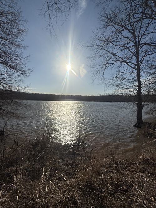 415 Hardin Bottom Rd, Clifton, TN, 38425-4005 | Card Image