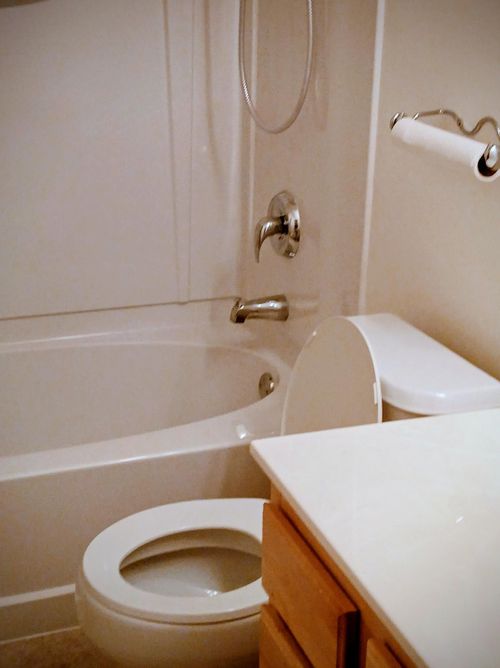 955 Crossing Way, Delano, MN, 55328-2831 | Card Image