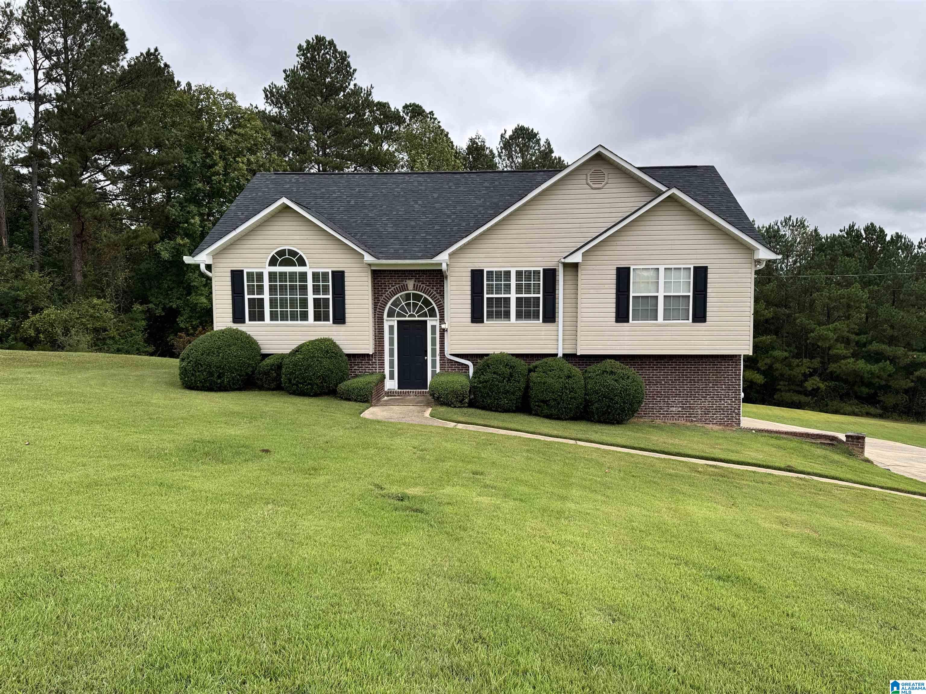 Sky View Ln, Odenville, AL 35120