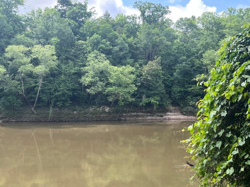 000 Ann Hinton Rd, Beaumont, MS, 39423 | Card Image