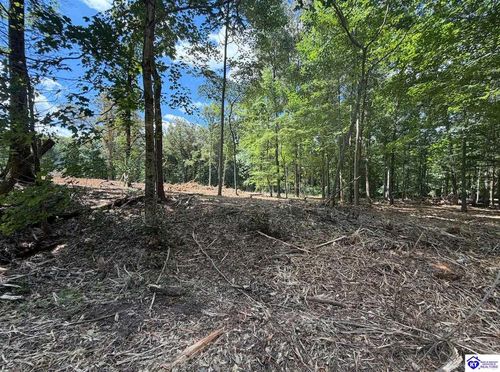 Lot 15 Redhawk, Rineyville, KY, 40162 | Card Image