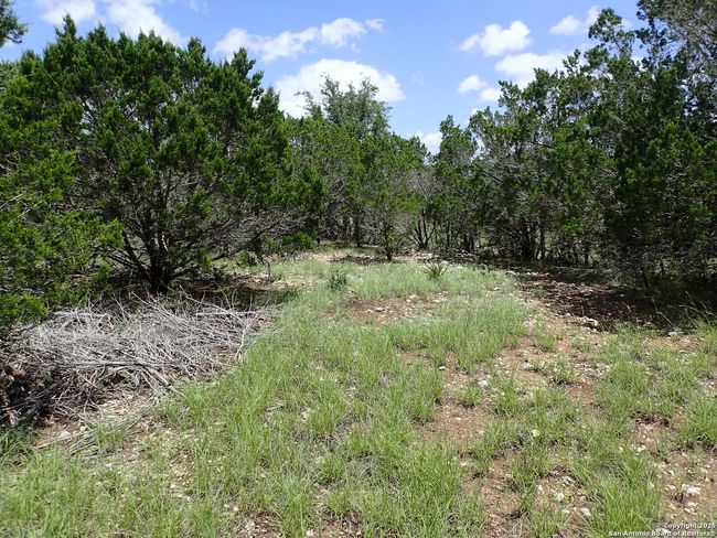 21 Tracie Trl, Home with 0 bedrooms, 0 bathrooms and null parking in Pipe Creek TX | Image 6