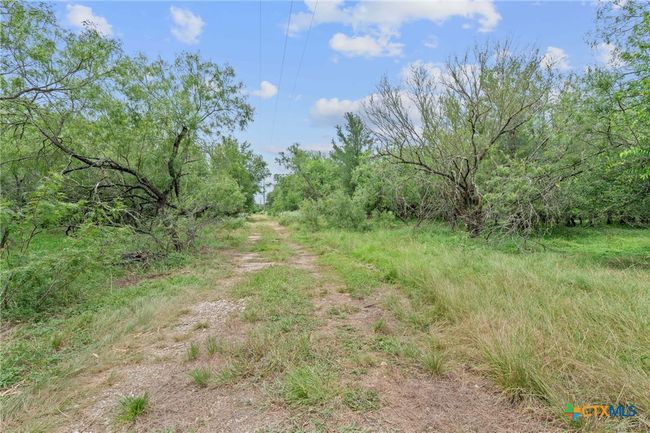 3597 Baker Rd, Home with 0 bedrooms, 0 bathrooms and null parking in Kingsbury TX | Image 9