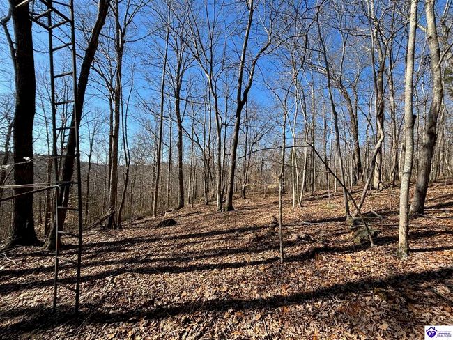 627 New State Rd, Home with 0 bedrooms, 0 bathrooms and null parking in Webster KY | Image 9
