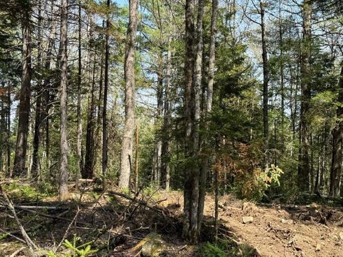 Lot 3 Nh Route 4a, Grafton, NH, 03240 | Card Image