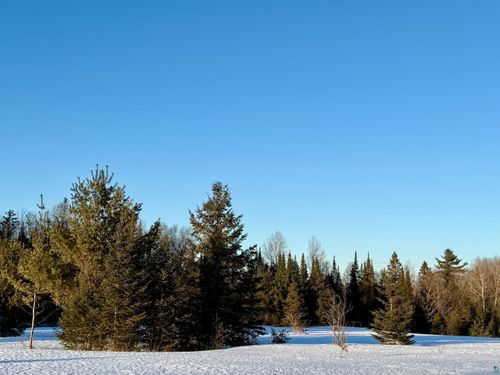 209xx Us Highway 2, Mason, WI, 54856 | Card Image