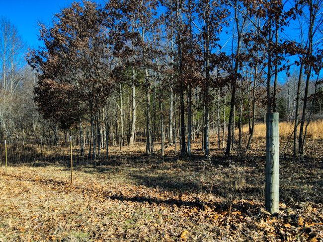 0 Old Jones Easement, Home with 0 bedrooms, 0 bathrooms and null parking in Adolphus KY | Image 13
