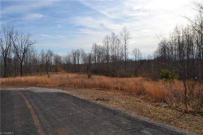 80 Acres Bobby Nelson Road, Home with 0 bedrooms, 0 bathrooms and null parking in Sandy Ridge NC | Image 1