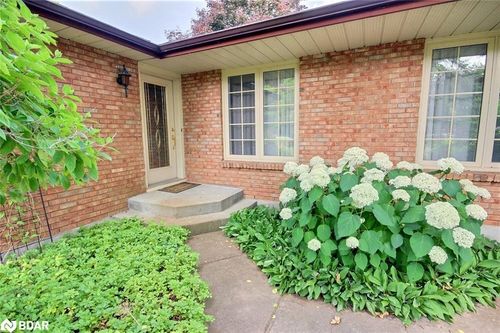 {{alt}} | Card Image