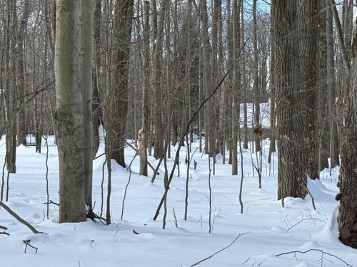 18 Malcolm Rd, Dubois, PA, 15801 | Card Image