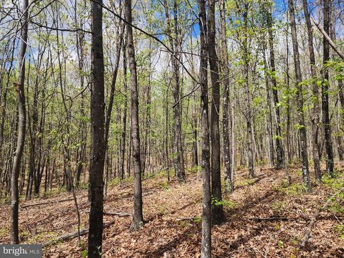26 River Wilderness Rd, DELRAY, WV, 26714 | Card Image