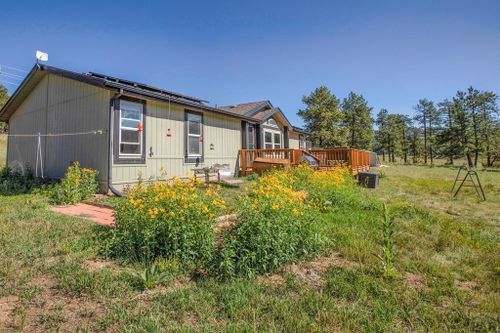 464 Hackamore Dr, Florissant, CO, 80816 | Card Image