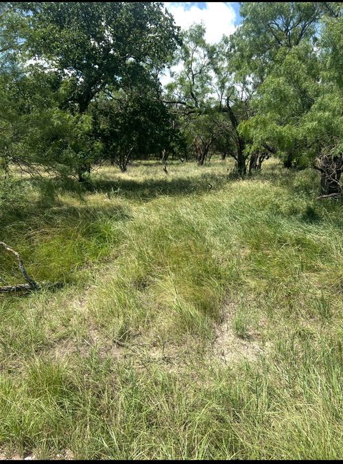 Lot 916 Oak Point Dr, May, TX, 76857 | Card Image