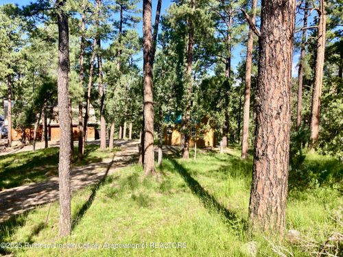 300 Coal Dr, Ruidoso, NM, 88345-7725 | Card Image
