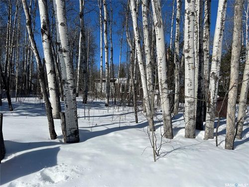 448 Cougar Road, Bjorkdale Rm No. 426, SK, S0E0E0 | Card Image